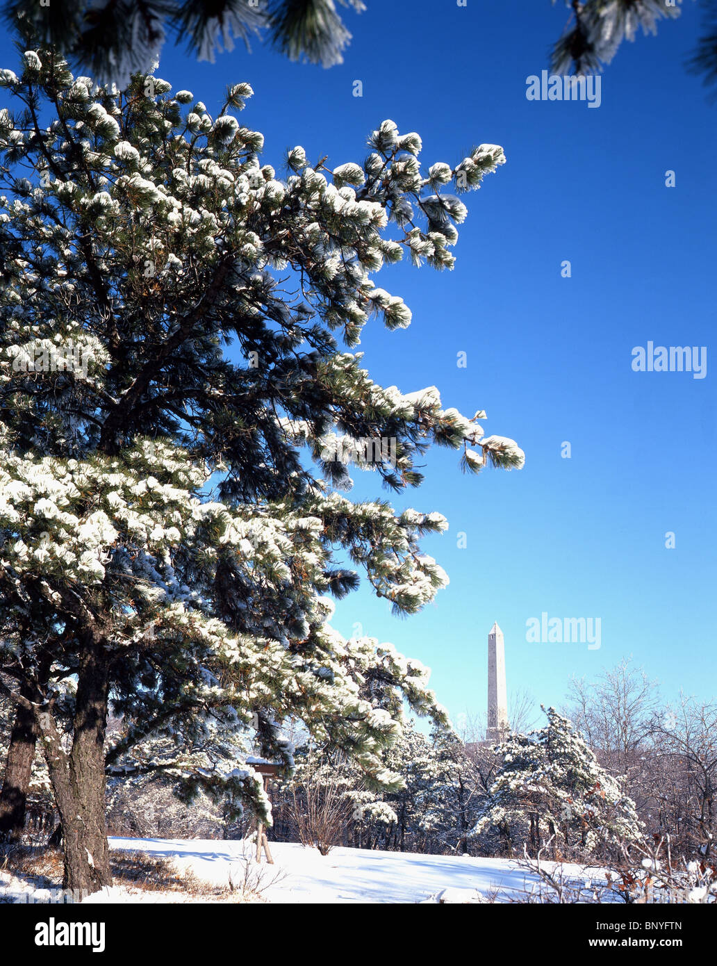 Il Monumento a Washington visto dal Parco in inverno Foto Stock