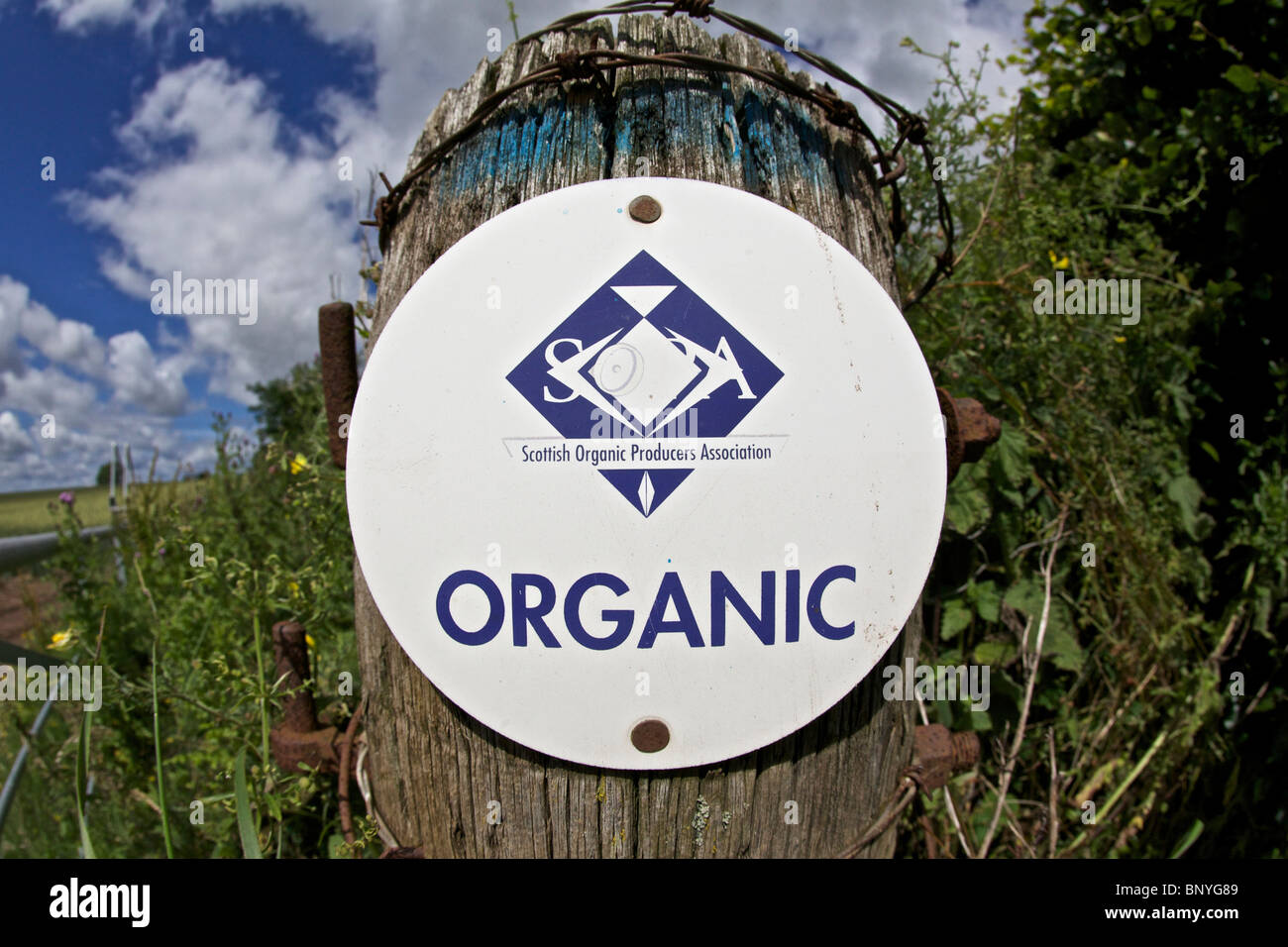 Certificazione biologica segno sul palo da recinzione in ingresso per il campo Foto Stock