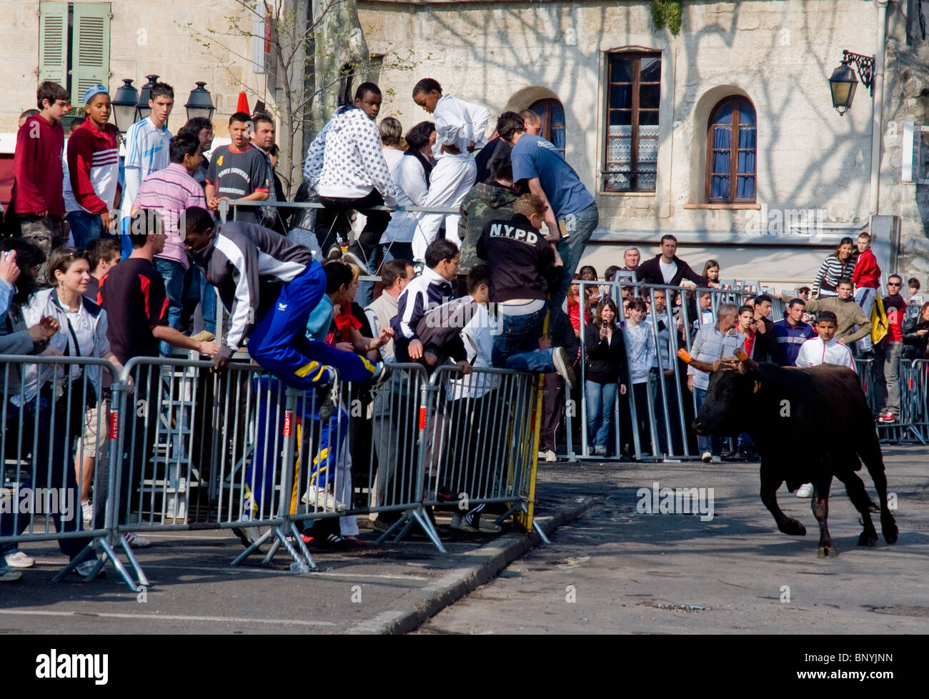Arles, Francia, Turisti Guardare gratis Bull Run su strada, Feria Corrida Corrida Festival, evento gratuito francia Foto Stock