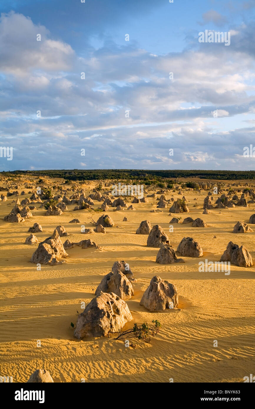 Tramonto nel Deserto Pinnacles Nambung nel Parco Nazionale. Cervantes, Australia occidentale, Australia. Foto Stock