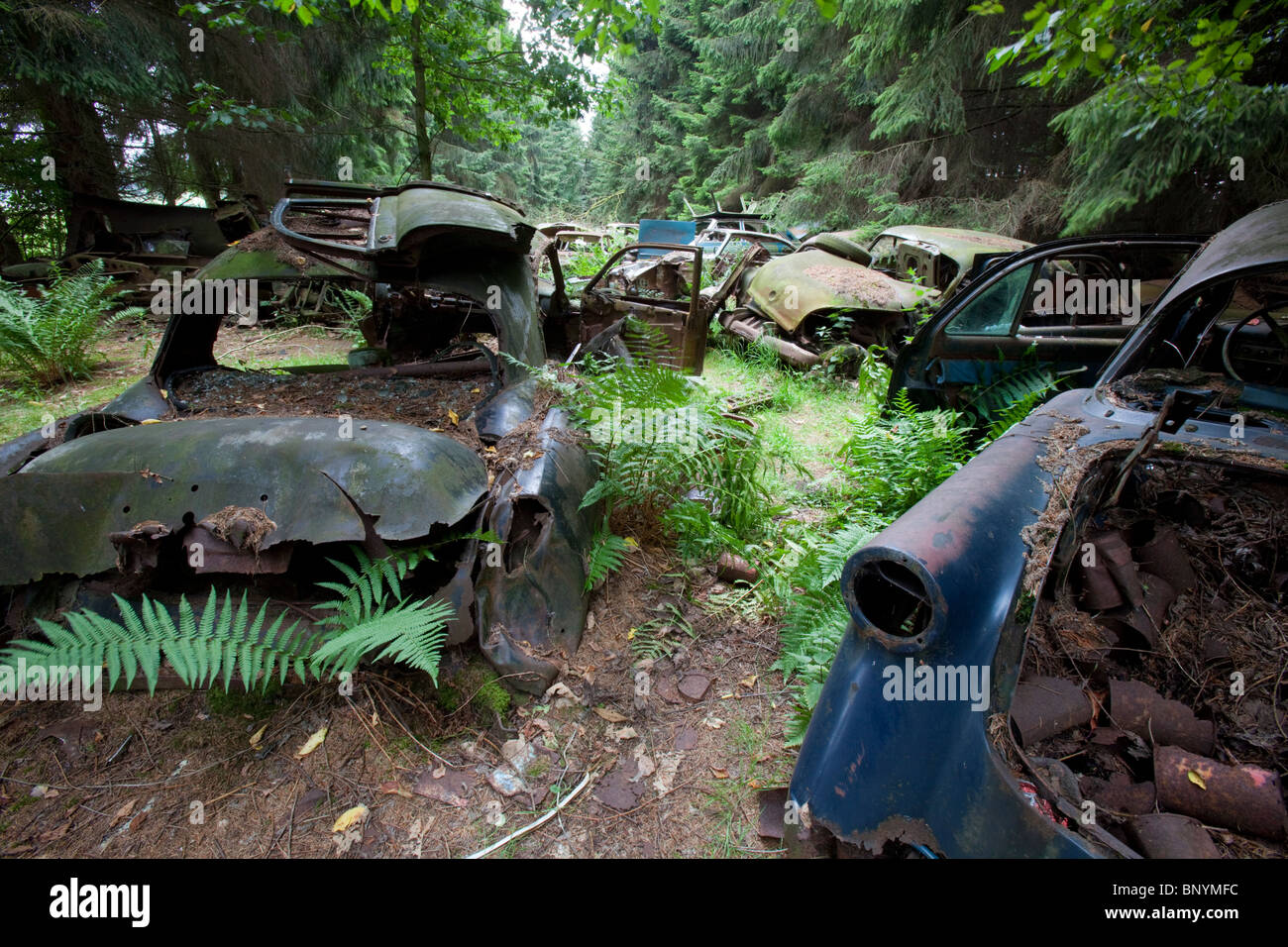 Arrugginita classic cars dagli anni sessanta oggetto di dumping in una foresta scrapyard, Chatillon, Belgio. Foto Stock