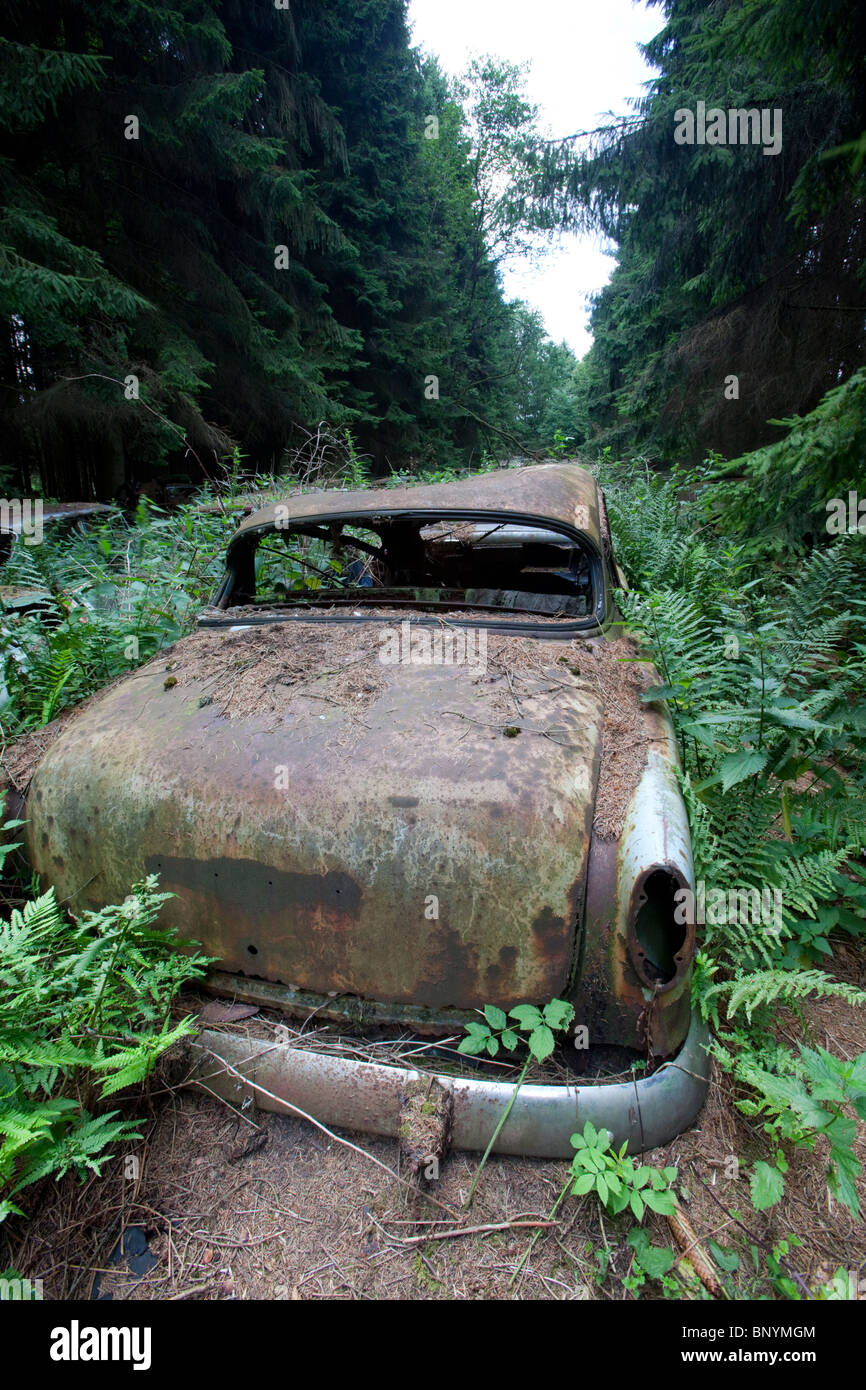 Arrugginita classic cars dagli anni sessanta oggetto di dumping in una foresta scrapyard, Chatillon, Belgio. Foto Stock