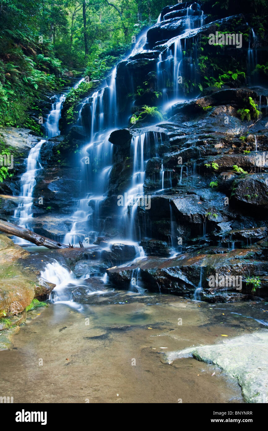 La foresta pluviale cascata nella Valle delle acque. Blue Mountains, Nuovo Galles del Sud, Australia Foto Stock