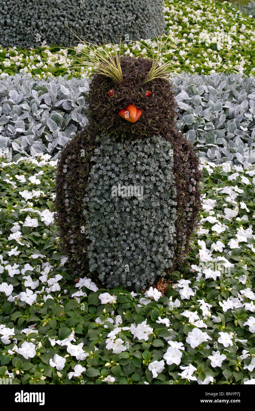 Novità pinguino decorativo figura fatta di fiori in un giardino confine Foto Stock