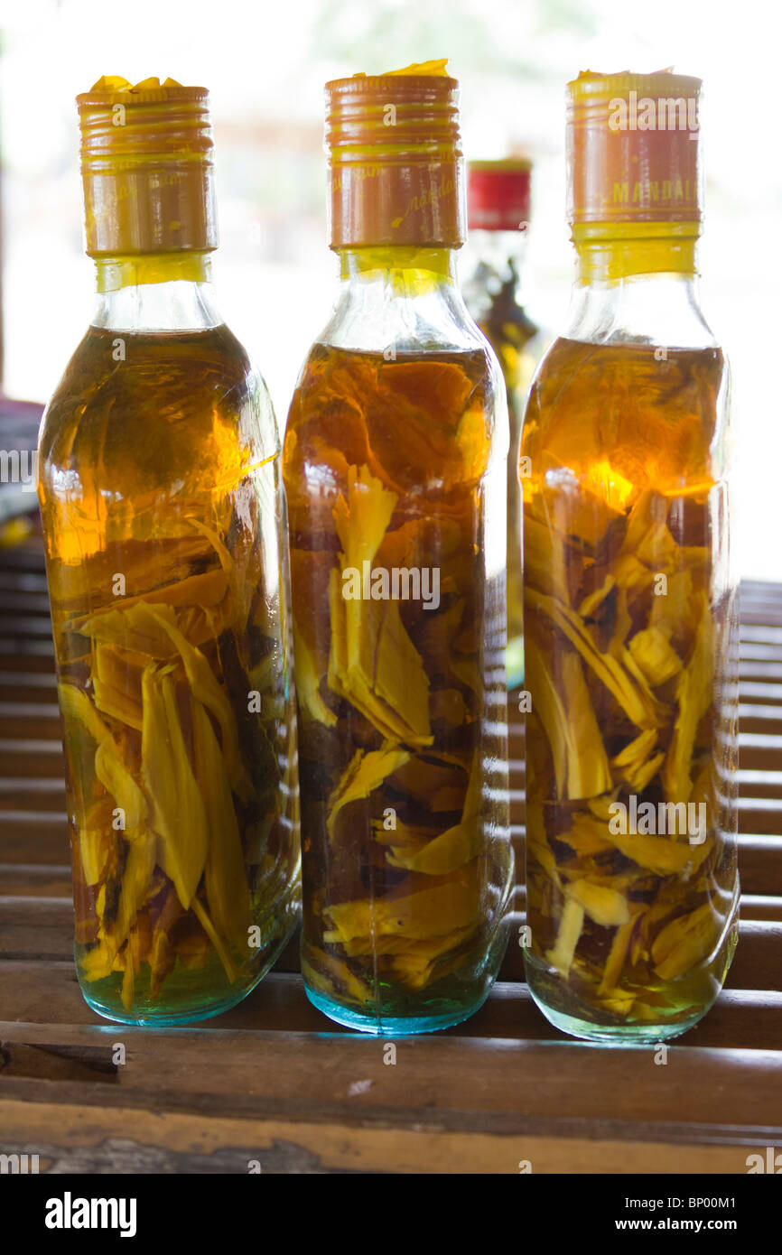 Bottiglie contenenti il vino di riso con aggiunta di succo di lime, utilizzato come una medicina di erbe, vicino a Bagan, Myanmar Foto Stock