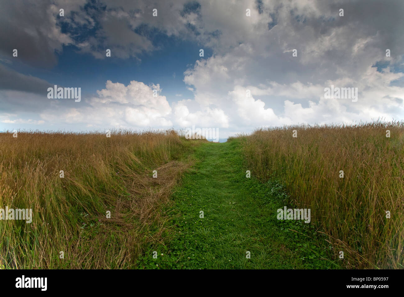 Max Patch, Appalachian Trail, Pisgah National Forest, NC Foto Stock