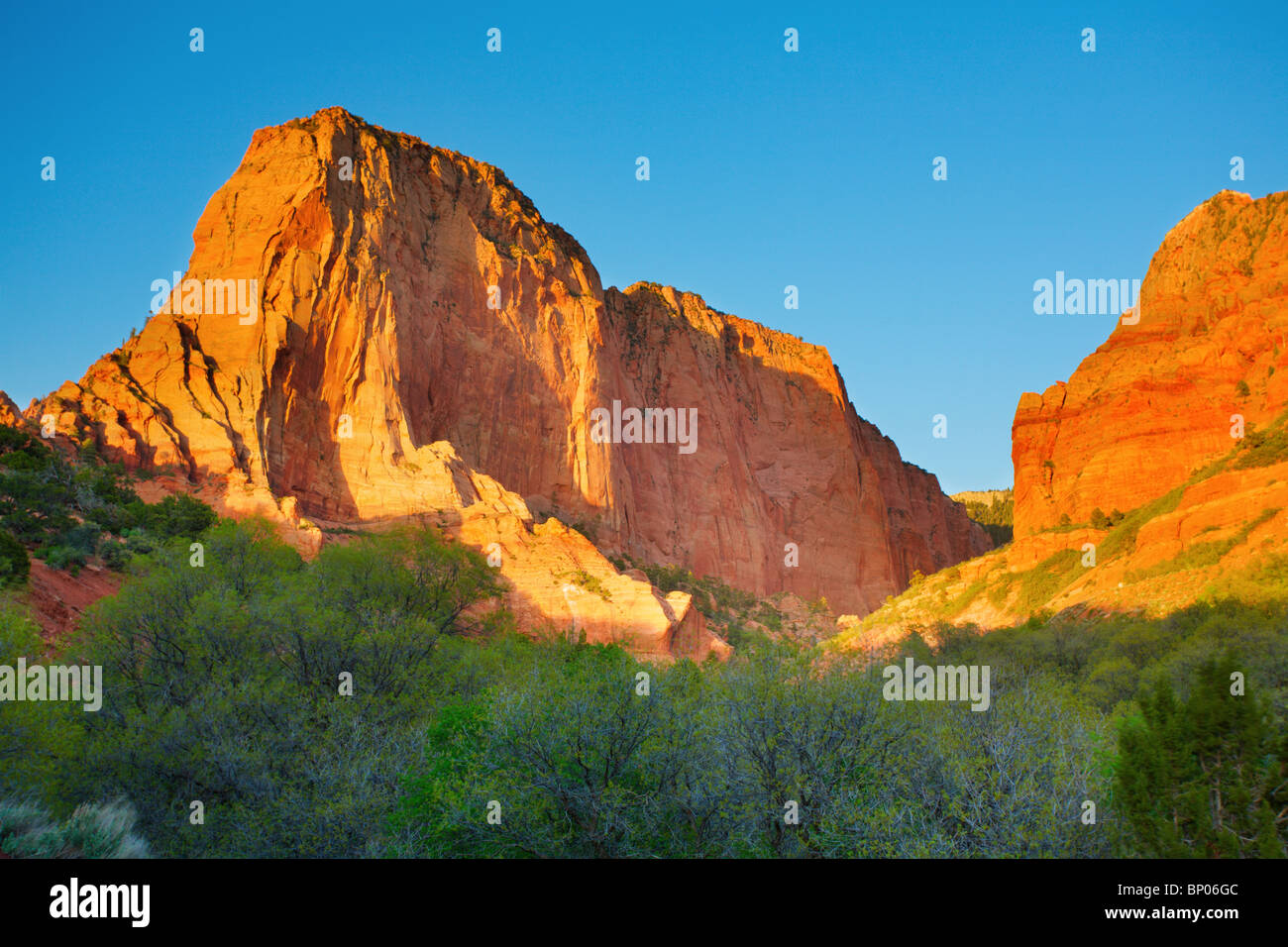 Parco Nazionale di Zion Foto Stock