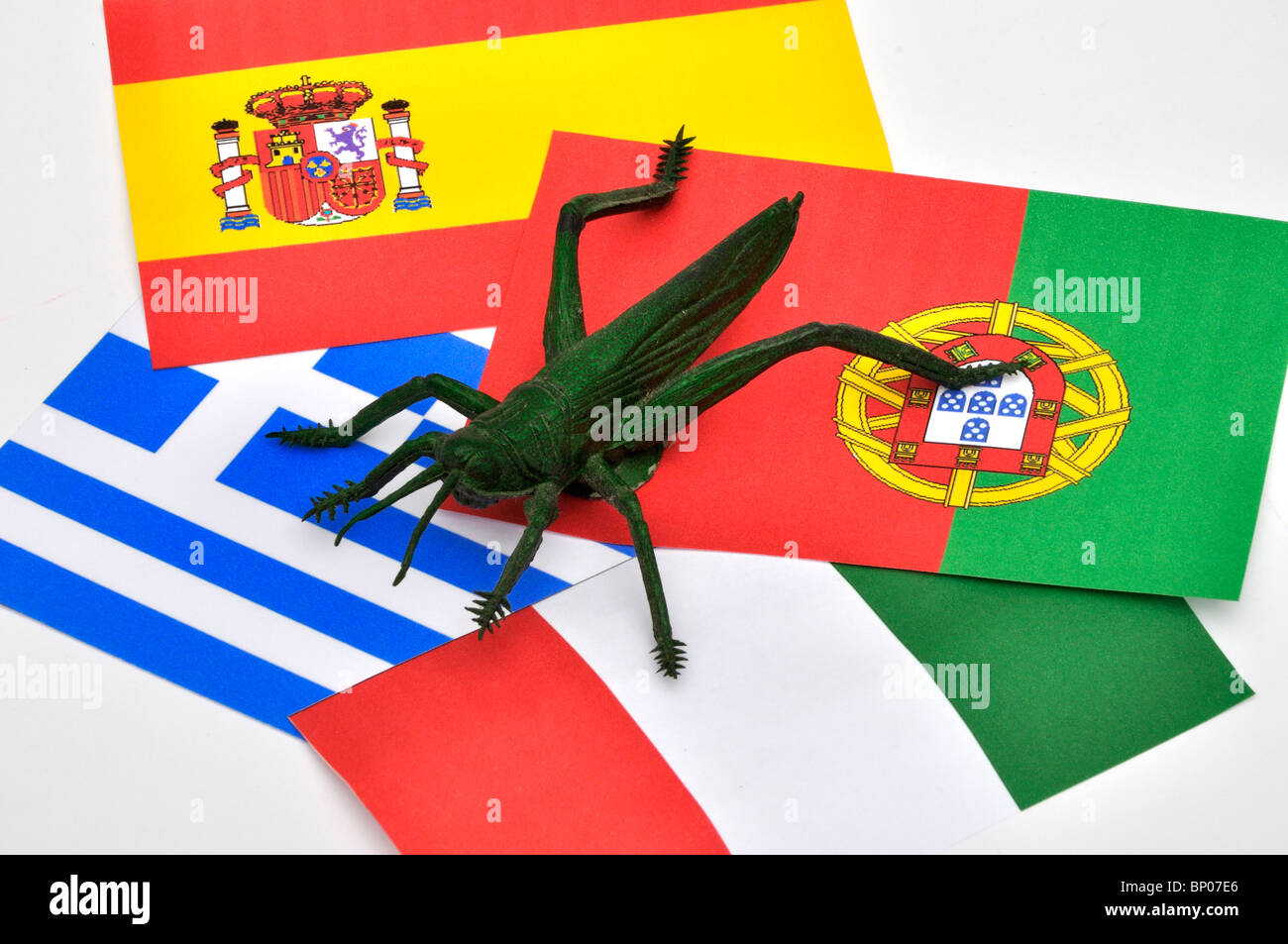 Locust seduti sulle bandiere europee Foto Stock
