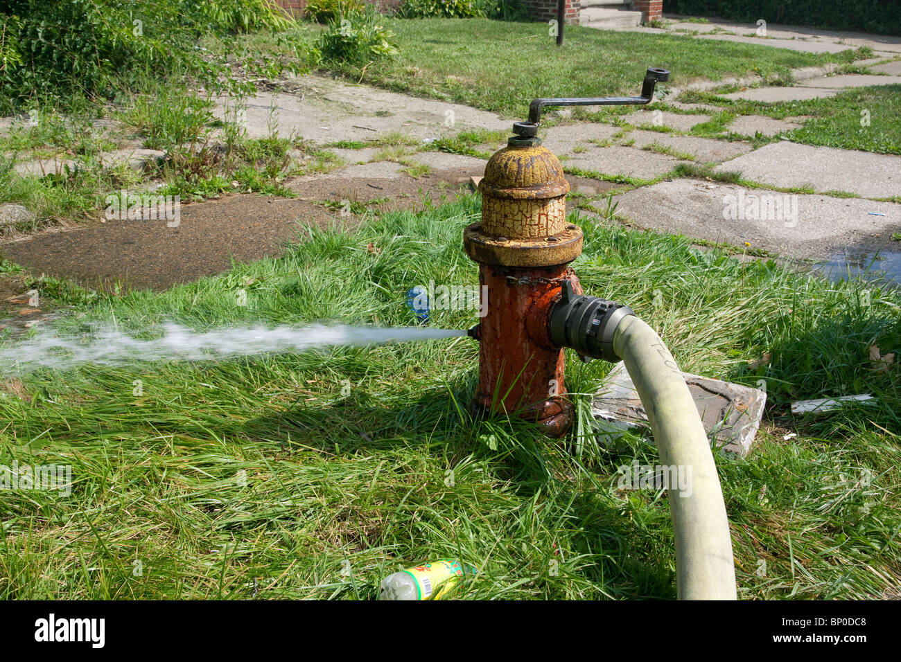 Idrante di fuoco Detroit Michigan STATI UNITI Foto Stock