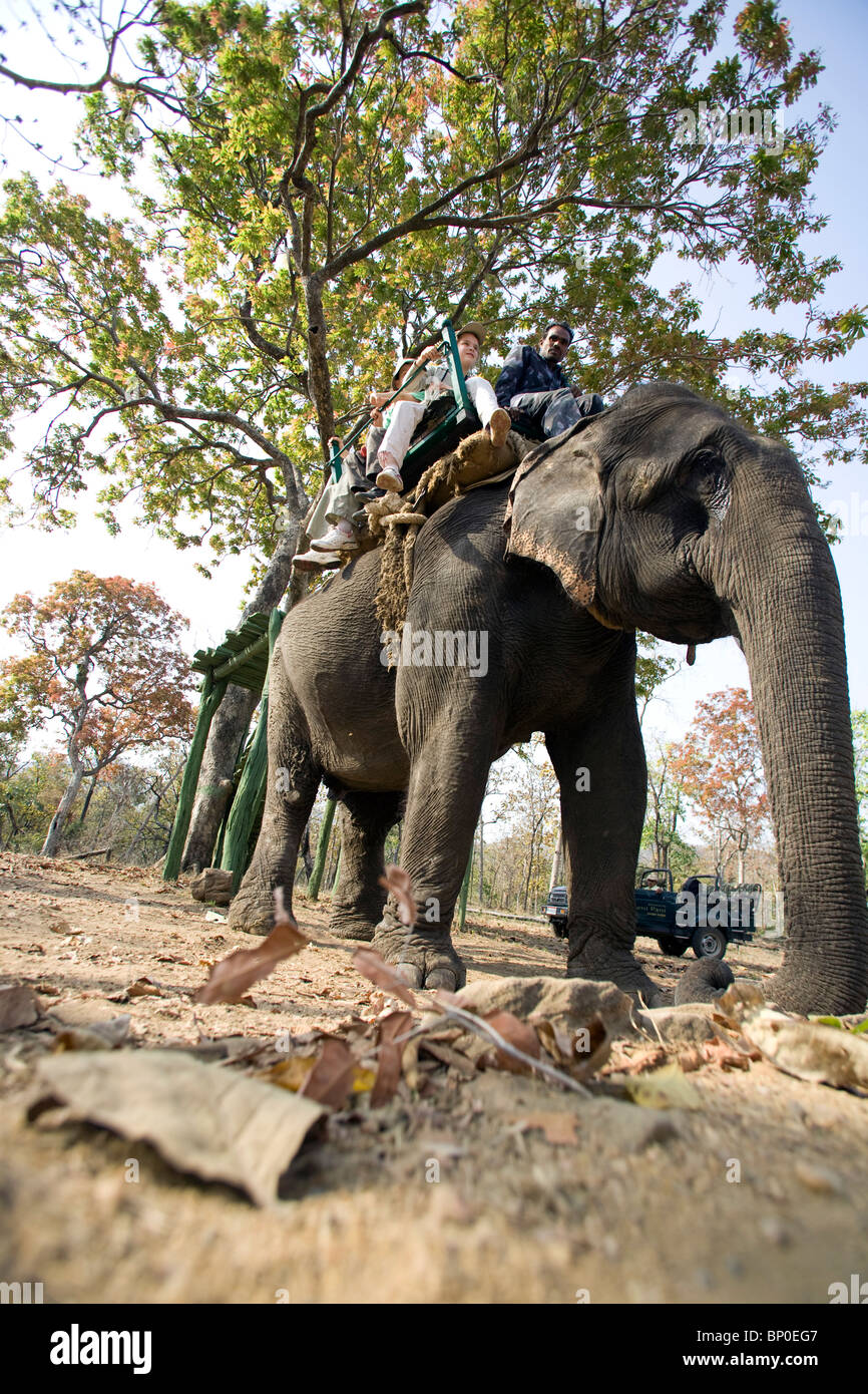 India, Madhya Pradesh, Satpura Parco Nazionale. Famiglia giovane su un elefante-back safari. Foto Stock