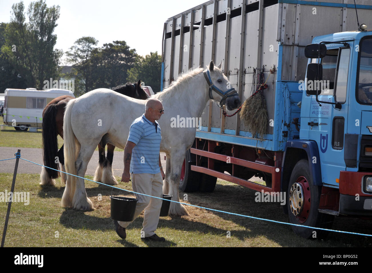 Cavalli da lavoro per un'azienda forestale con il loro proprietario/gestore al vapore kemble rally 2010. Foto Stock