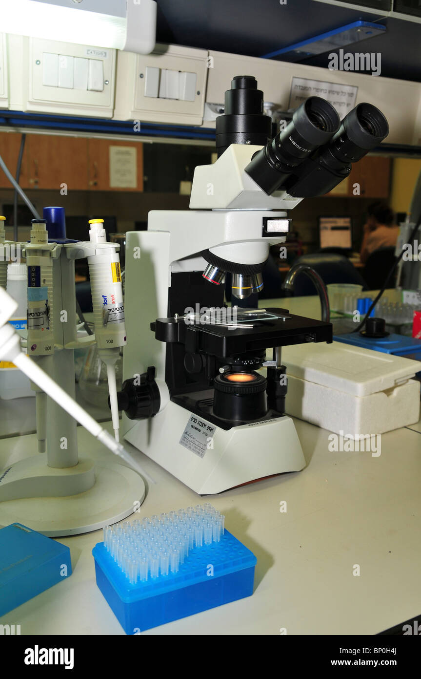 Laboratorio di ricerca al microscopio ottico Foto Stock