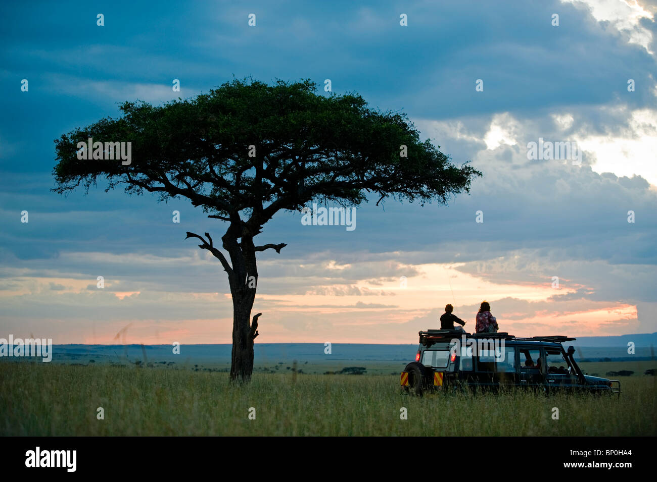 Kenia Masai Mara. Una pausa per un tramonto sotto un albero balanites durante un game drive su una famiglia safari. (MR) Foto Stock
