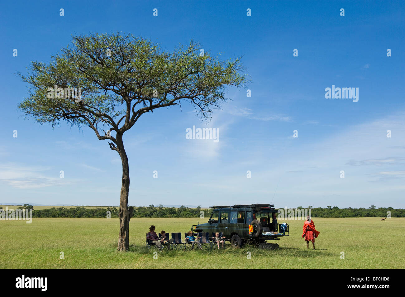 Kenia Masai Mara. Prima colazione sotto un albero balanites mentre fuori su un gioco di auto da topi House. Foto Stock