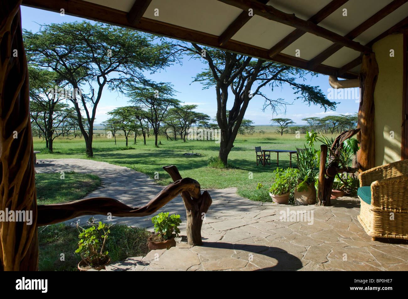 Kenya Norok Masai Mara Safari Foto Stock