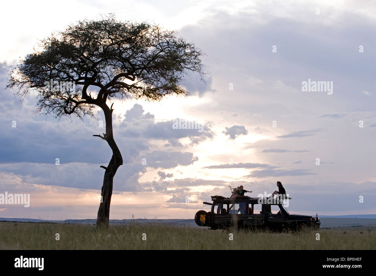 Kenia Masai Mara. Una battuta di arresto per una pausa in un game drive accanto a uno del Mara del classico balanites alberi. (MR) Foto Stock