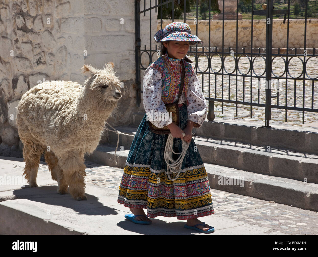 Il Perù, un Cabana girl conduce i suoi alpaca addomesticati passato le porte della chiesa di Maca, situato nella valle di Colca. Foto Stock