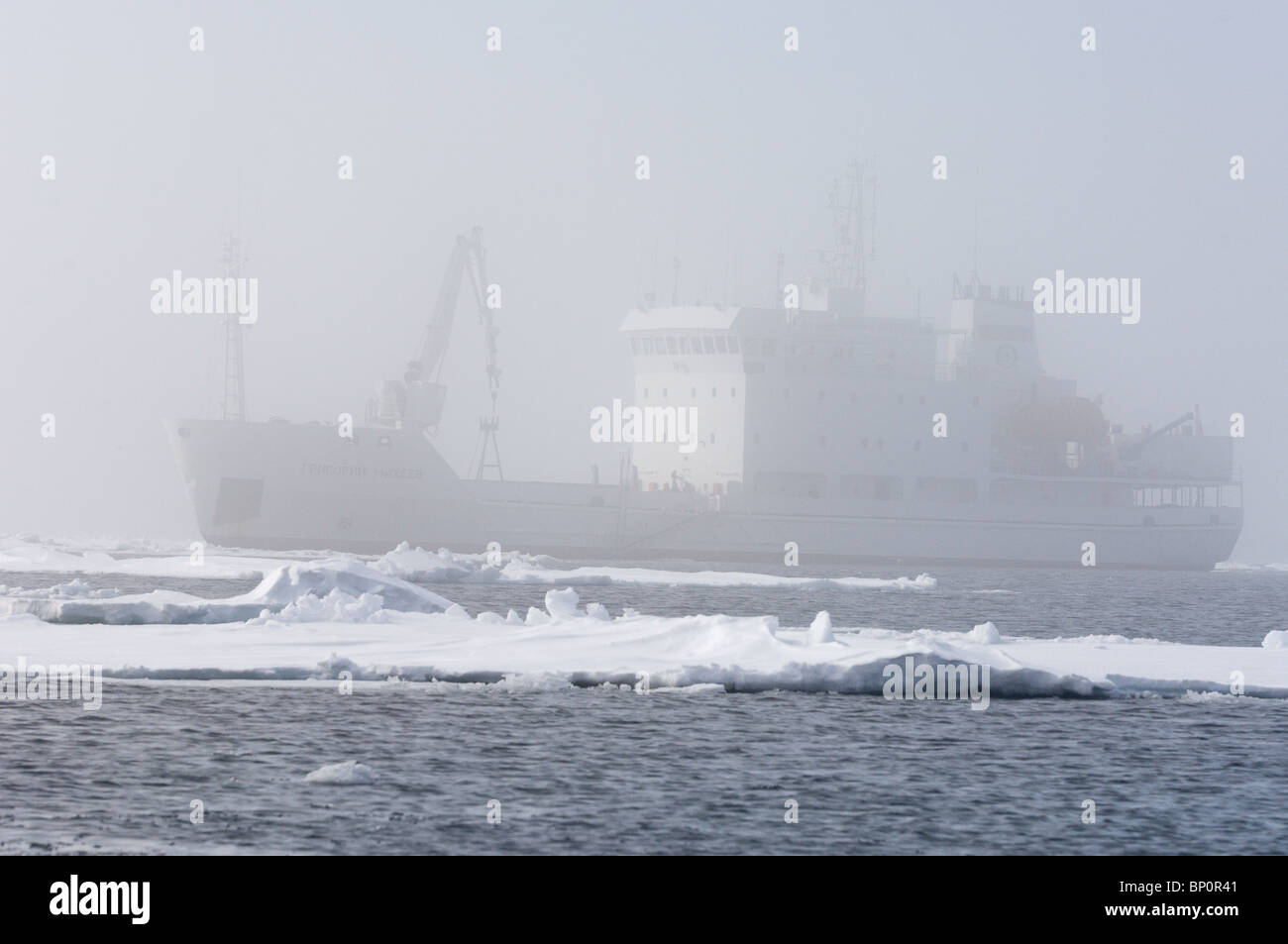 La banchisa vicino a Martensoya (Martora Isola) arcipelago delle Svalbard, Norvegia. Foto Stock