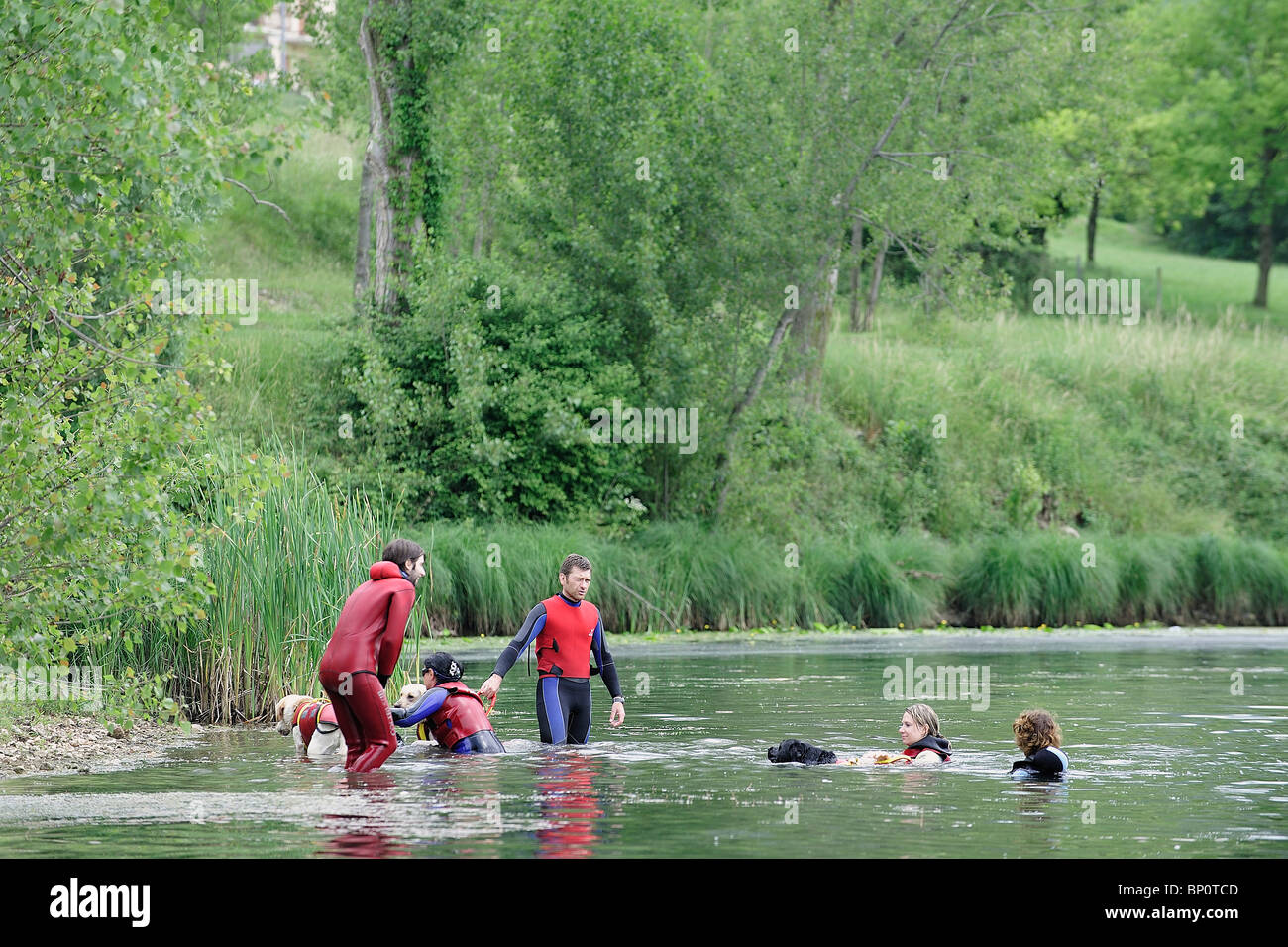L'Italia, Veneto, vicino a Vittorio Veneto, la ricerca e il salvataggio del cane Scuola di Formazione Foto Stock