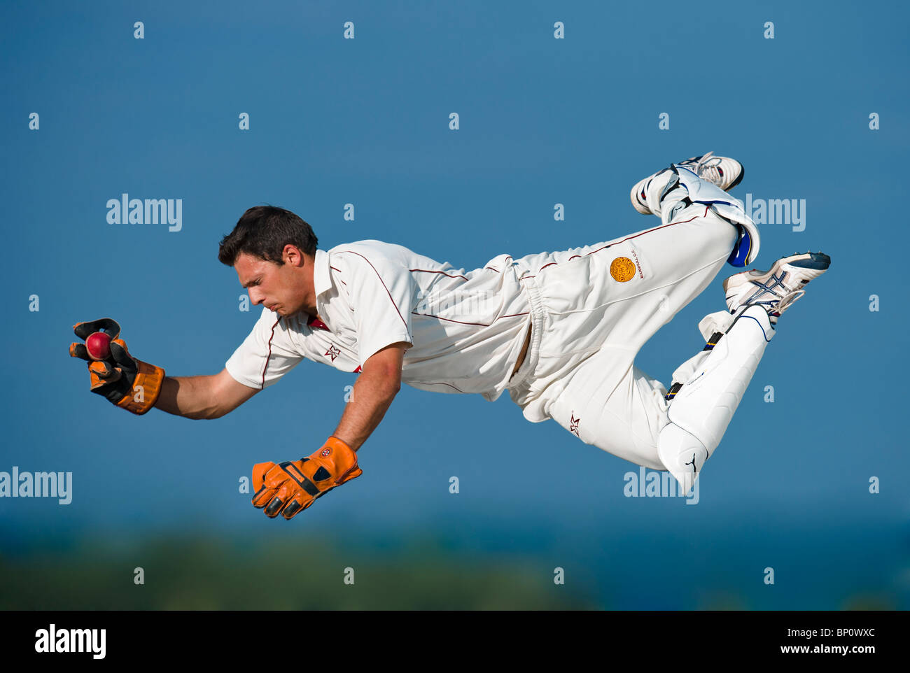 Wicket keeper in azione le immersioni per la cattura di cricket palla. Foto Stock