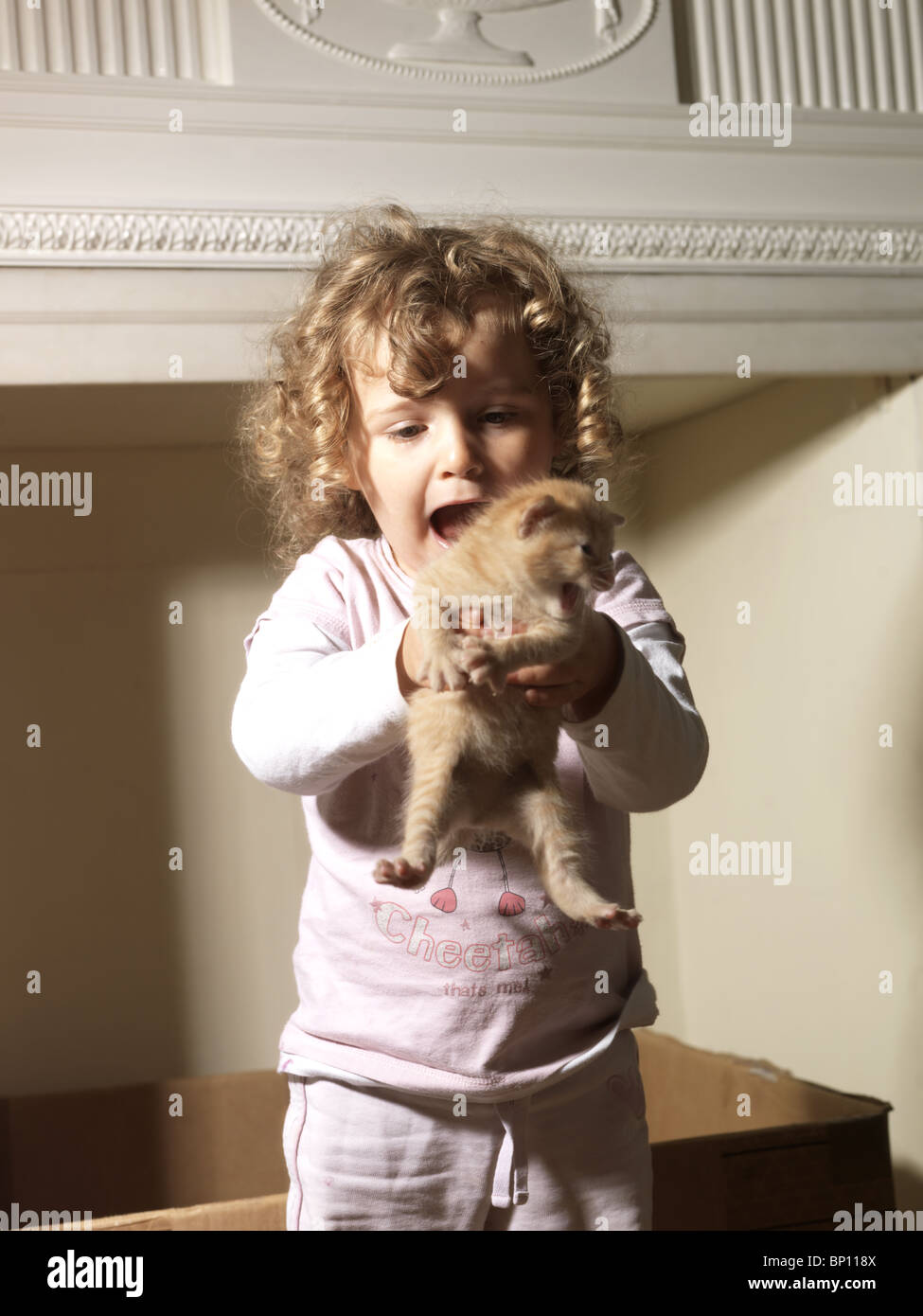 Bimba di tre anni urla di gioia tenendo un cucciolo di zenzero Foto Stock