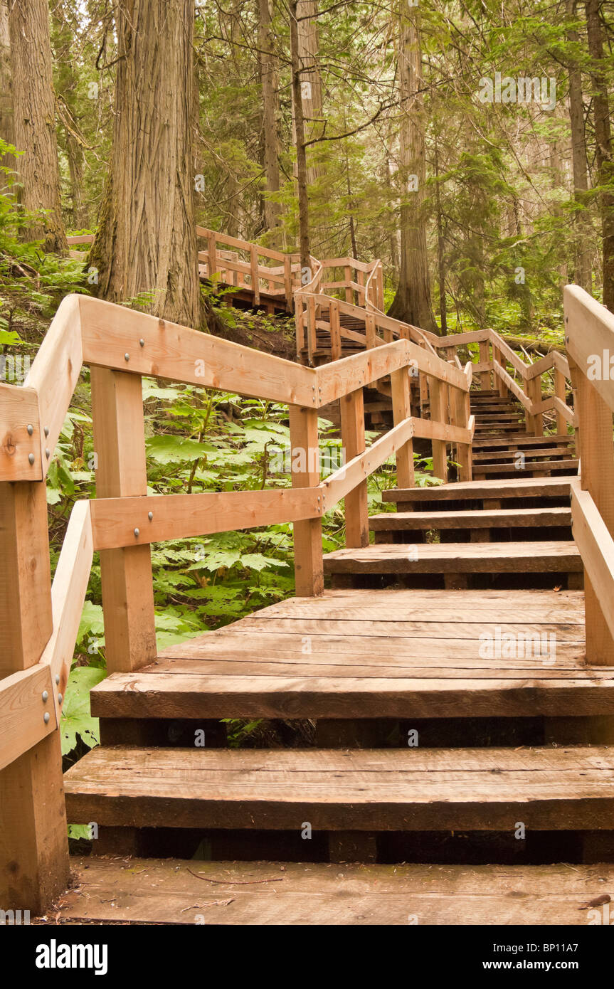 Giant Cedars Boardwalk Trail, Mount Revelstoke National Park, British Columbia, Canada Foto Stock