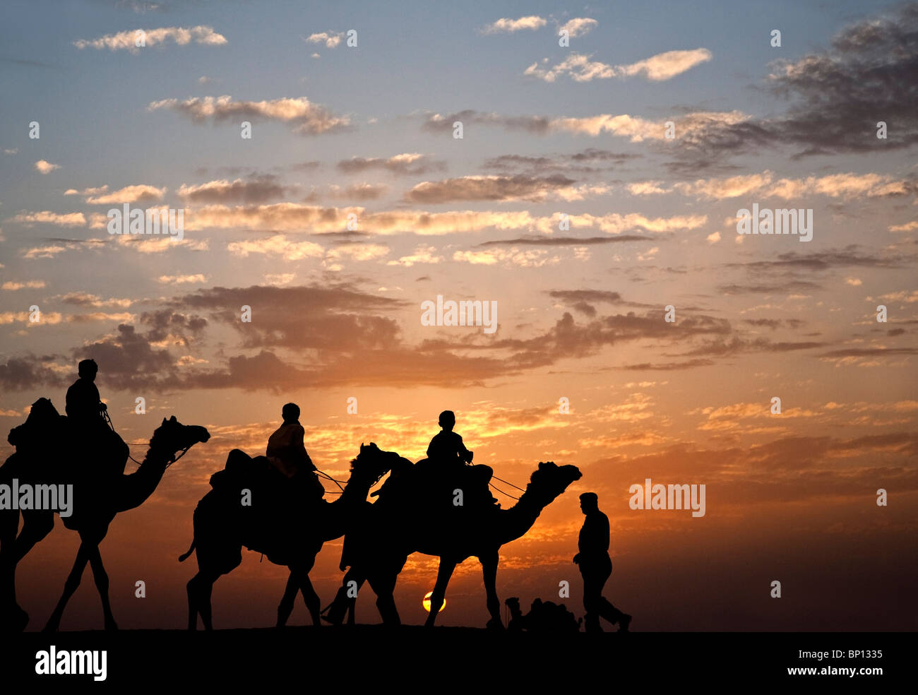 Nomadi a cavallo di cammelli. Deserto di Thar. Il Rajasthan. India Foto Stock