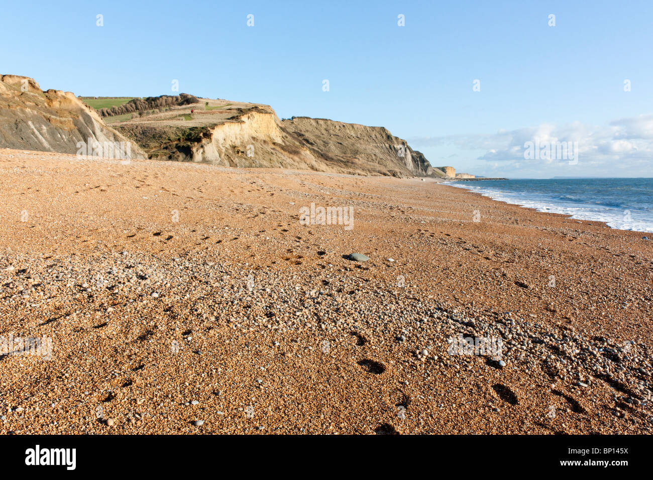 Spiaggia Eype Dorset England Regno Unito Foto Stock