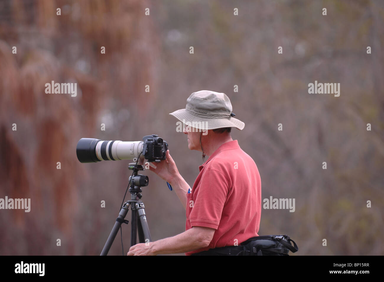 Wildlife Photographer Foto Stock