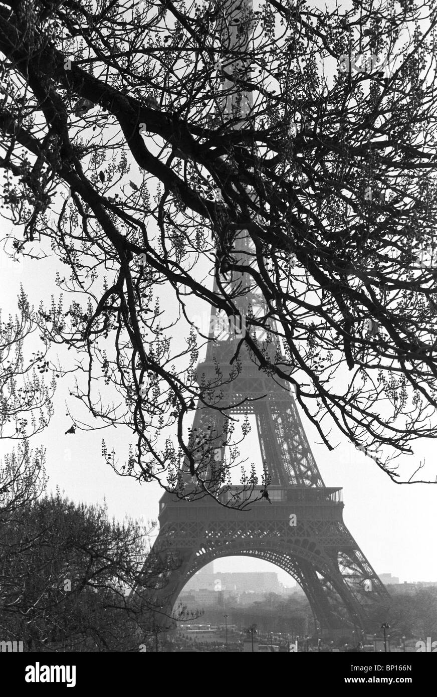 Torre Eiffel, bianco e nero, arte, viaggi Foto Stock