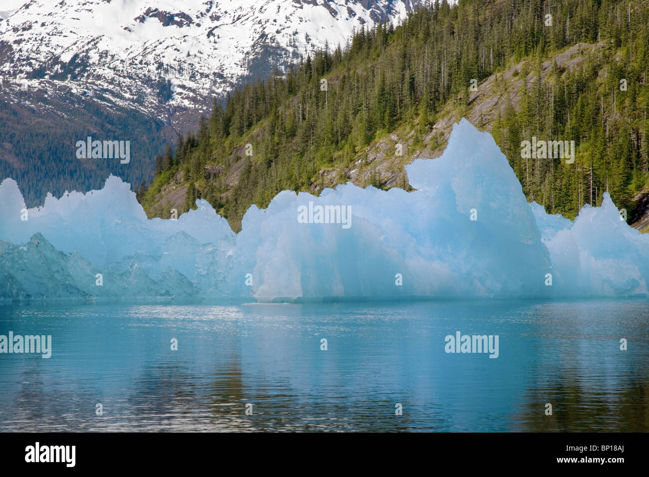 Iceberg, LeConte Bay, home all'emisfero settentrionale più a sud di marea ghiacciaio d'acqua. Foto Stock