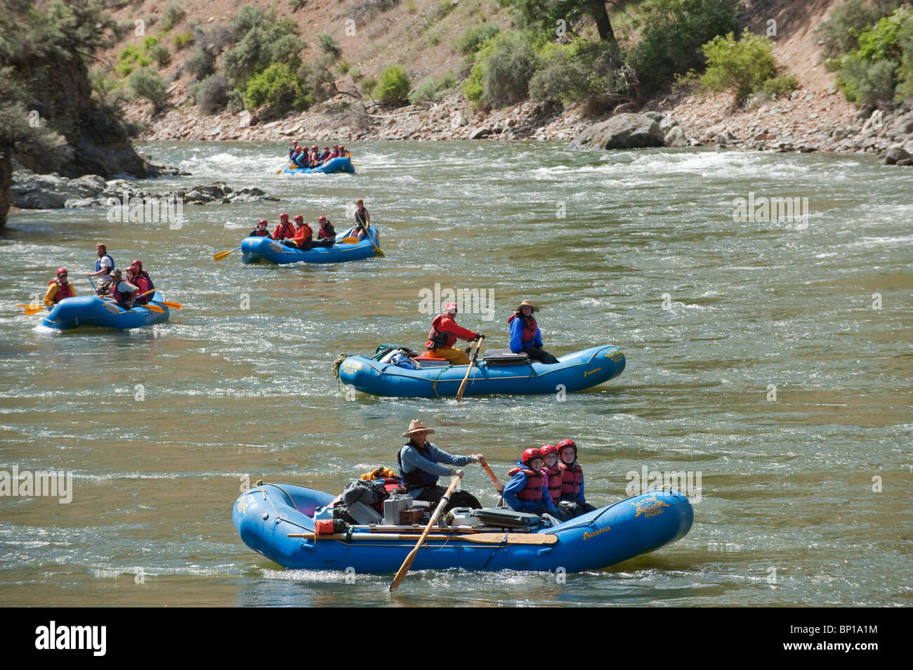 Forcella centrale del fiume di salmoni, Frank Church deserto, Stato di Idaho, U.S.A. Foto Stock