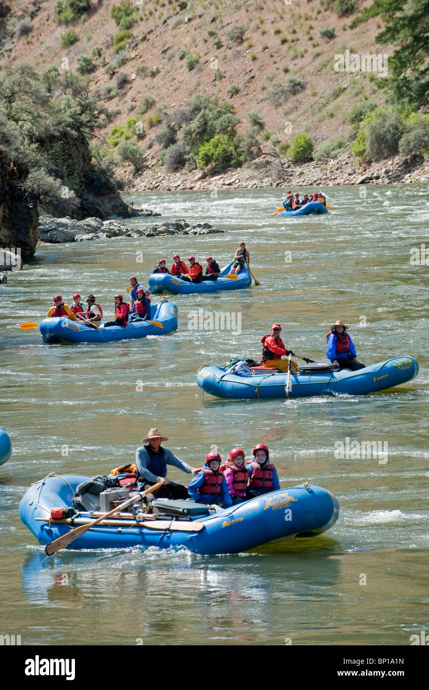 Forcella centrale del fiume di salmoni, Frank Church deserto, Stato di Idaho, U.S.A. Foto Stock