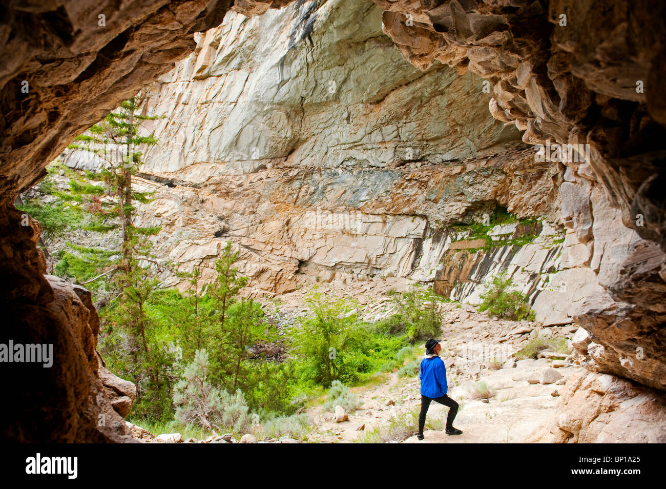 Grotta della cattedrale, Medio Forcella del fiume di salmoni, Frank Church deserto, Stato di Idaho, U.S.A. Foto Stock