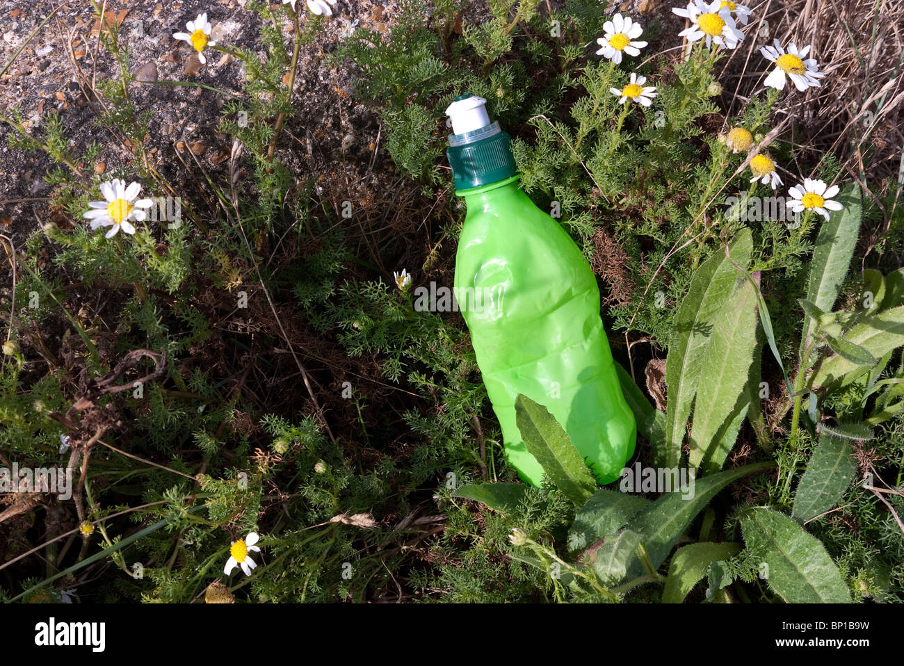 Energia di plastica Bottiglia di bevanda scartati su un sentiero nella campagna inglese Foto Stock