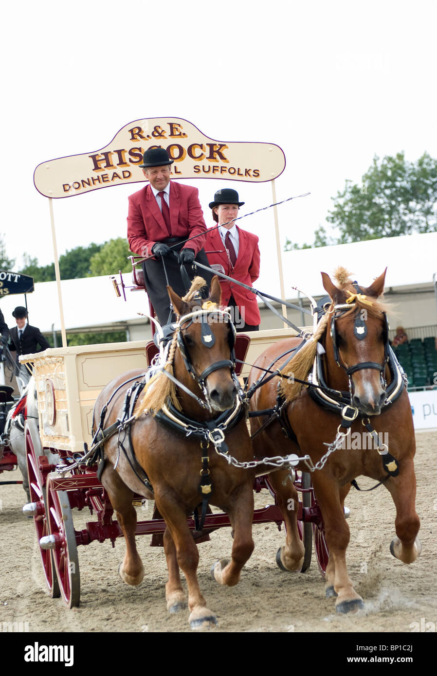 Suffolk punch cavalli da lavoro presso la Royal festival del cavallo Foto Stock
