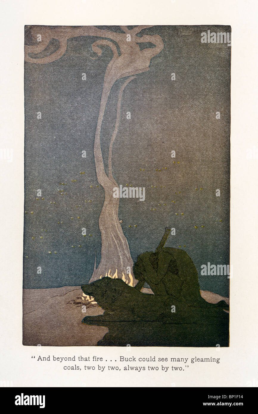 Illustrazione dalla chiamata del selvaggio da Jack London, 1903, 1904; illustrato da Philip R. Goodwin e Charles Livingston - Boll. Foto Stock