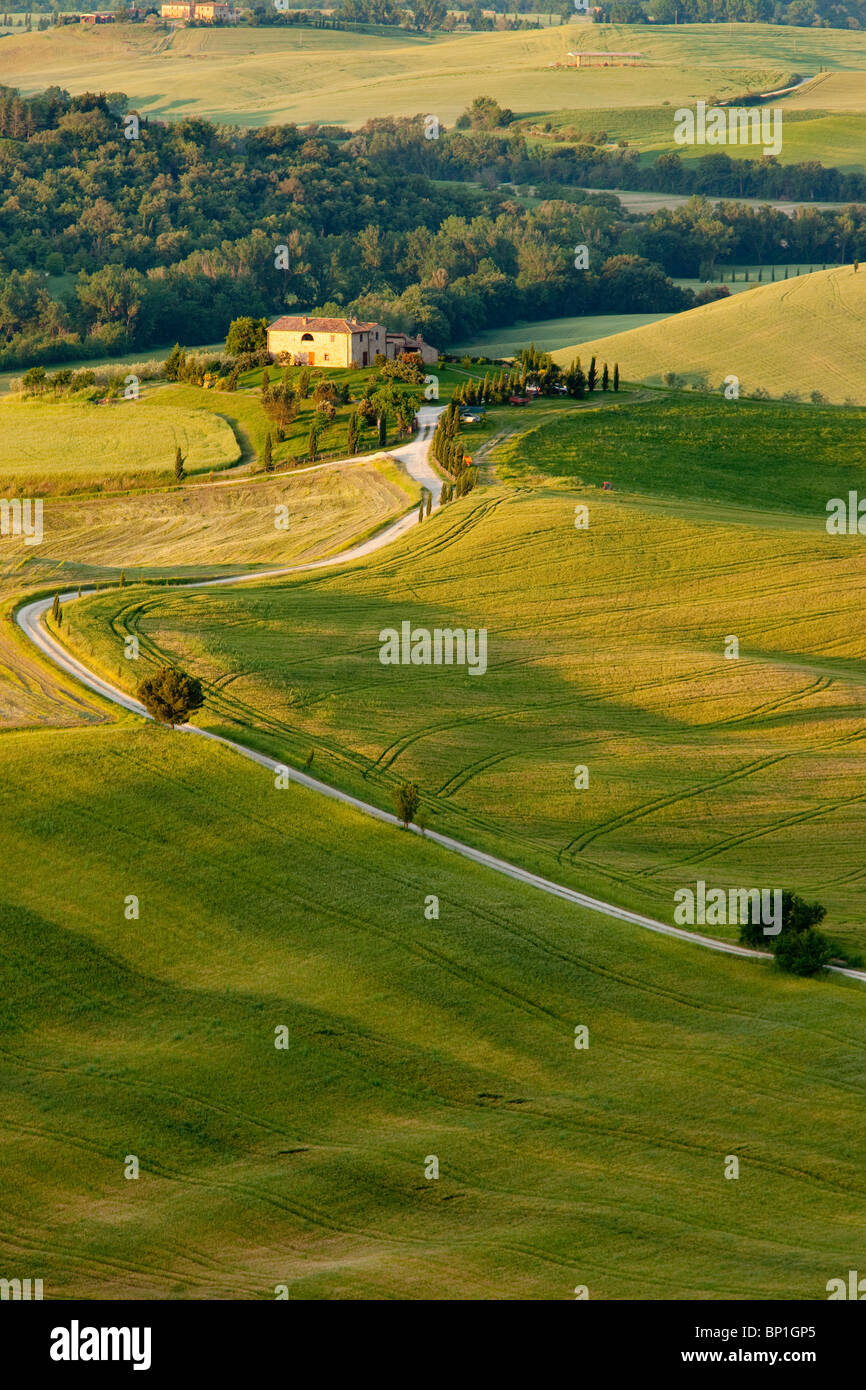 Strada di campagna che conduce alla villa in Toscana vicino a Pienza, Toscana Italia Foto Stock