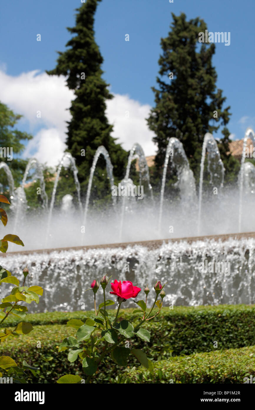 Red Rose e fontana nei Jardines del Triunfo Granada Andalusia Spagna Europa Foto Stock