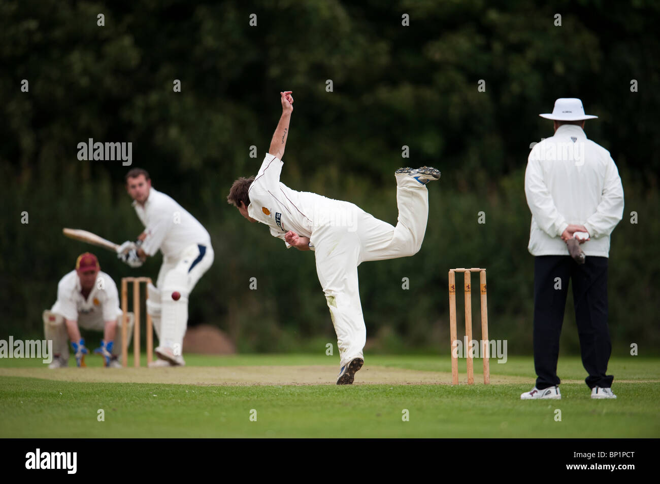 Partita di cricket bowler in azione. Foto Stock