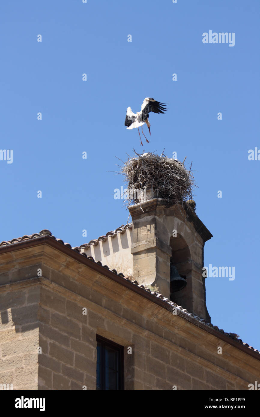 Stork atterraggio sul nido sulla torre campanaria in Haro, La Rioja, Spagna del Nord, cielo blu Foto Stock