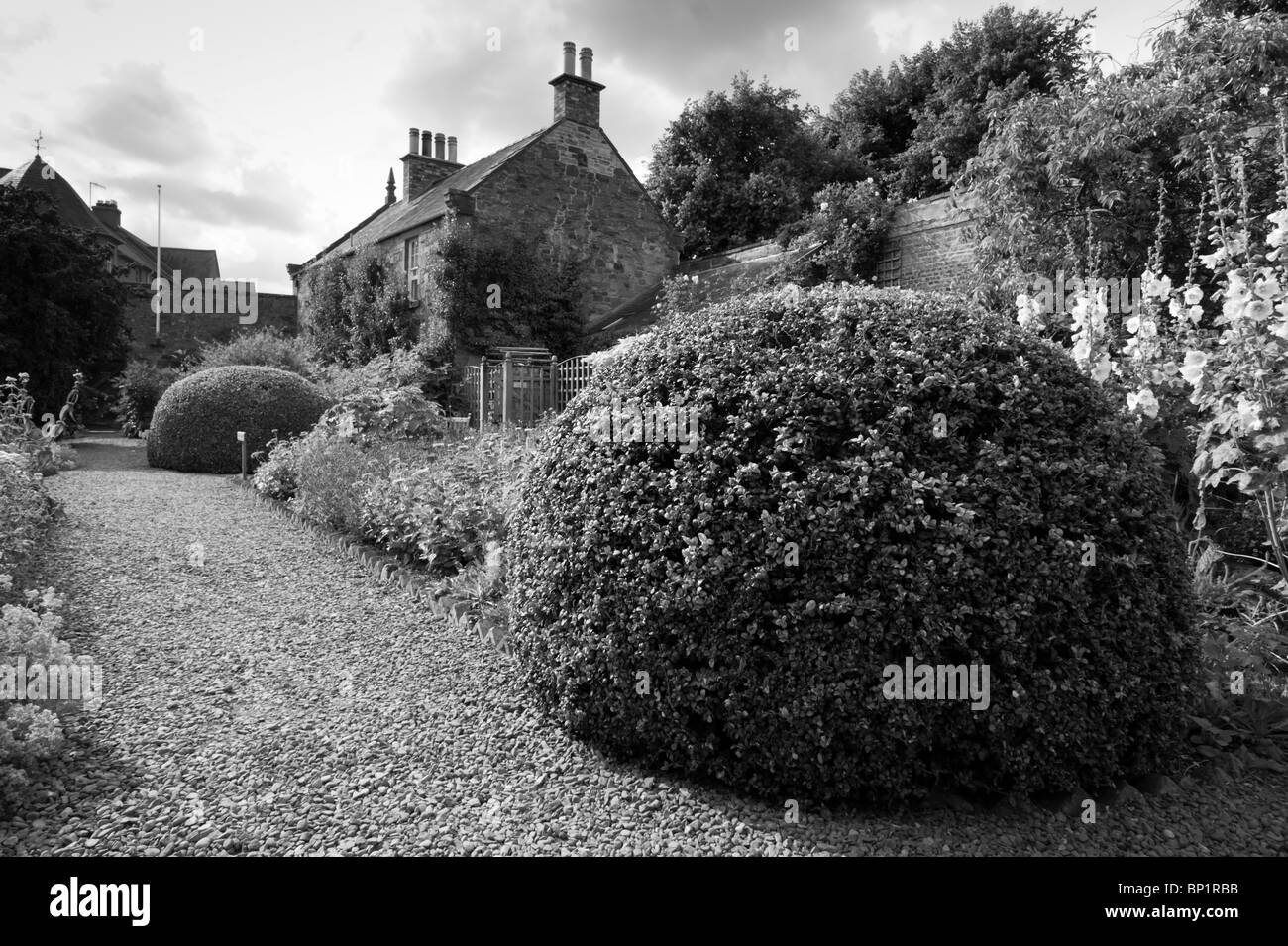 Giardini Priorwood Melrose - National Trust for Scotland essiccati fiori e giardini d'erbe Foto Stock