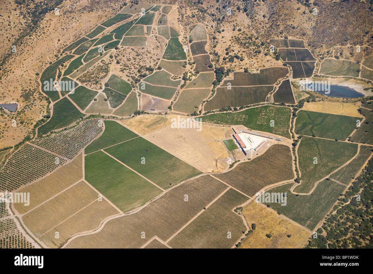 I vigneti e i frutteti vicino a Santiago del Cile, America del Sud - aerial Foto Stock