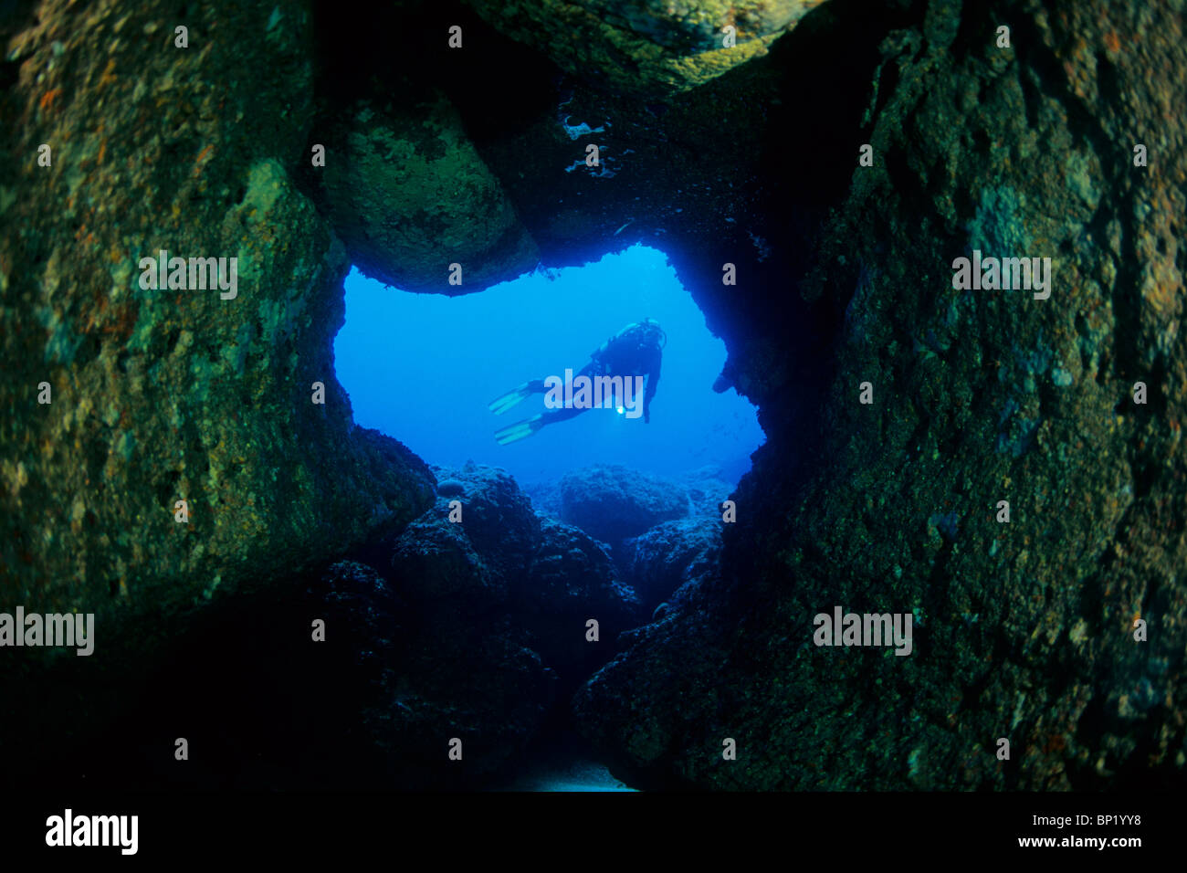 Scuba Diving in Sardegna, Sardegna, Italia Foto Stock