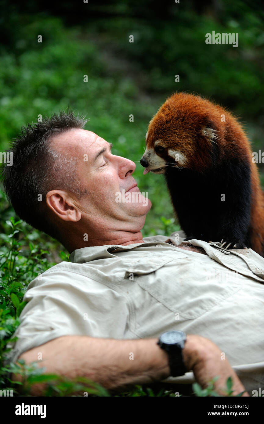 Wildlife presenter Nigel Marven pone con un panda rosso a Chengdu Panda Base in Sichuan, in Cina. 25-lug-2010 Foto Stock