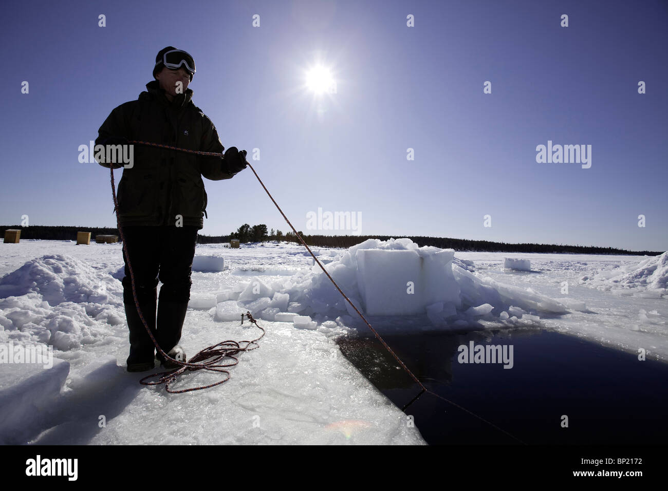 Immersioni sotto il ghiaccio la salvaguardia con corda di sicurezza, Mare Bianco, Carelia, Russia Foto Stock