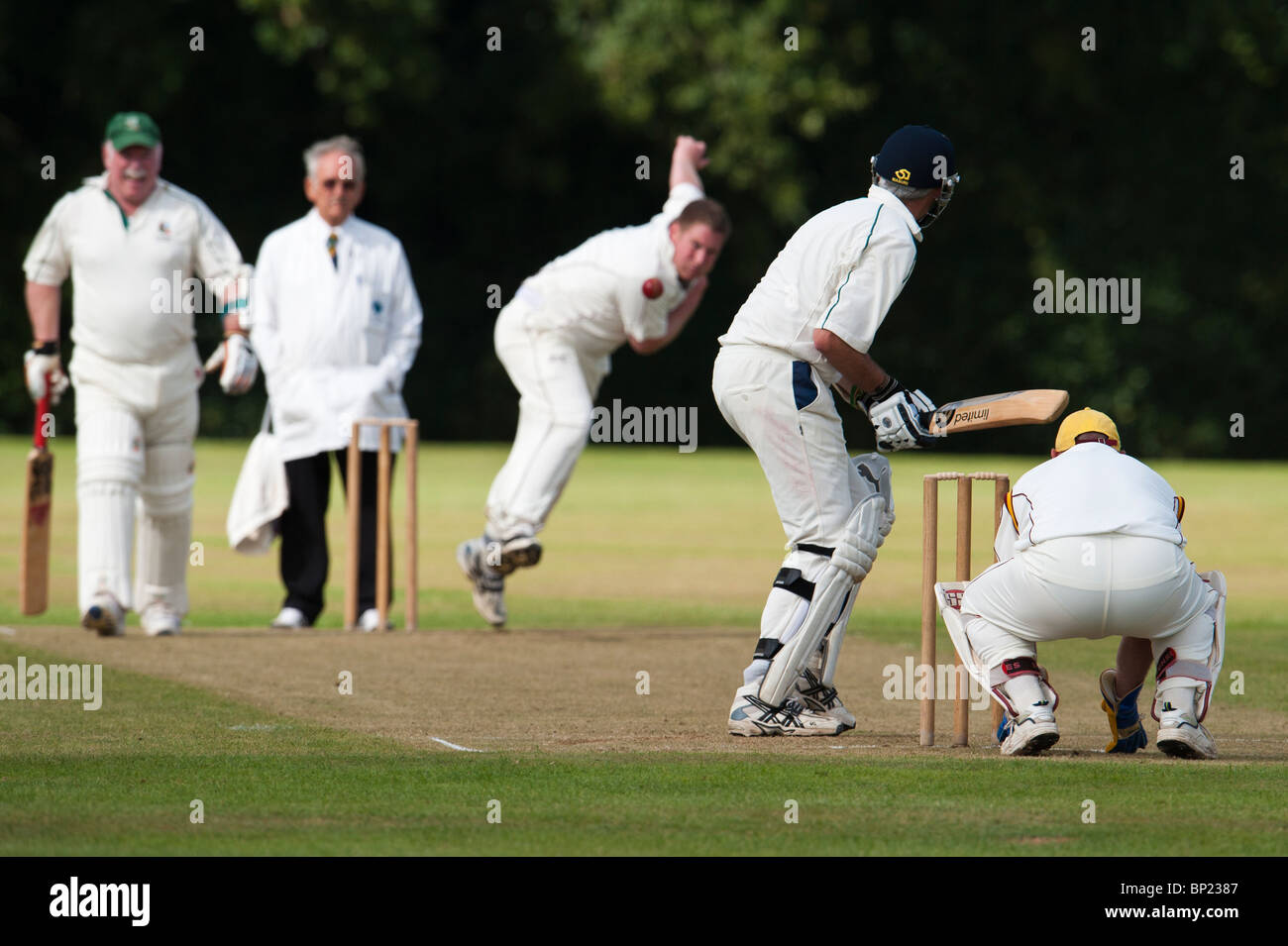 Partita di cricket bowler in azione Foto Stock