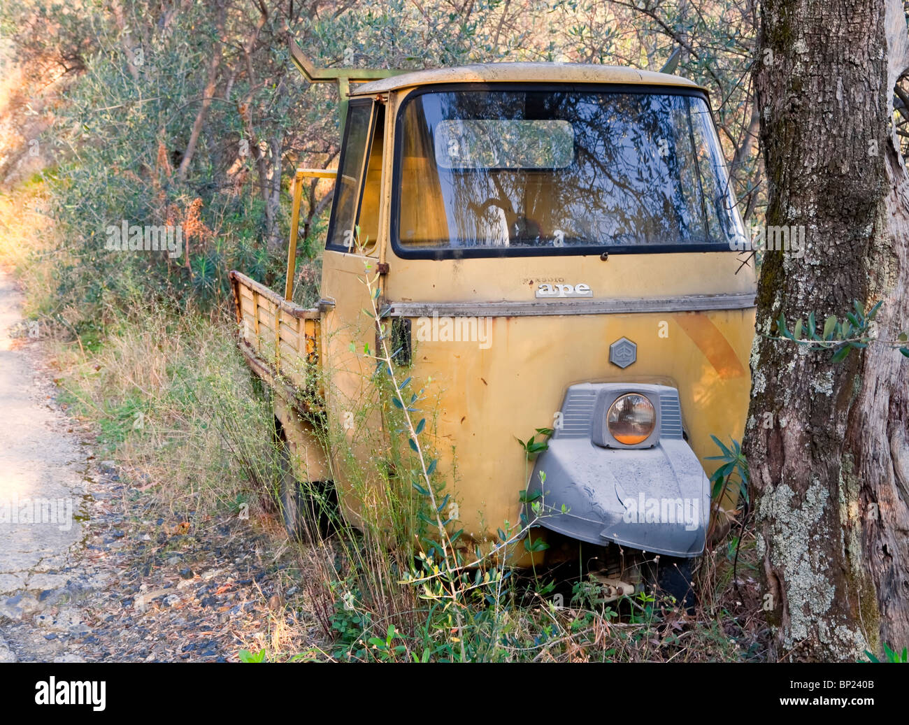 Vecchi pensionati 3 ruote Piaggio in corrispondenza di un tronco di albero in Cinque Terre Italia. Foto Stock