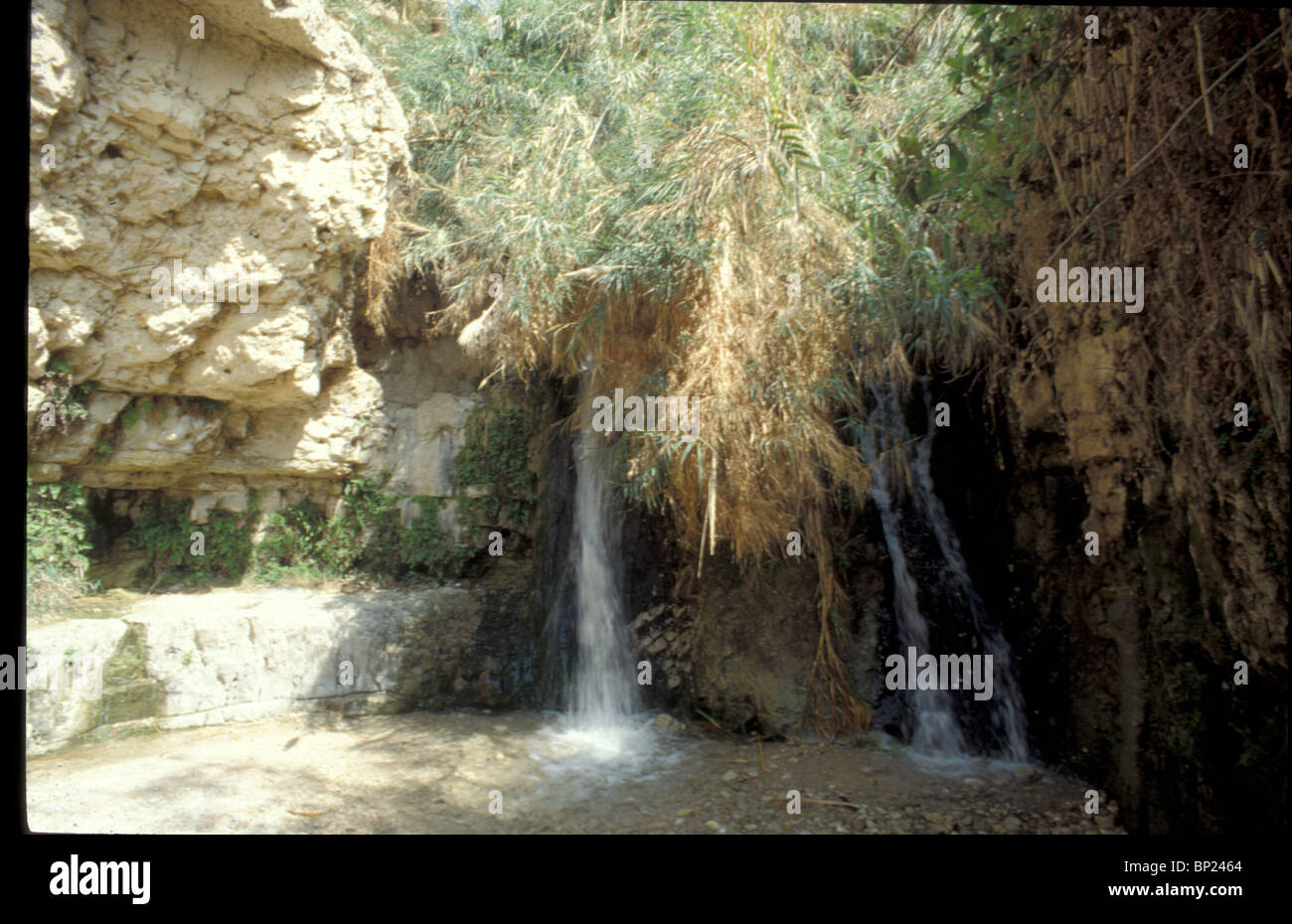 EIN GEDI - Town (OGGI UN KIBUTZ & NATURA RISERVA) sulla sponda occidentale del Mar Morto vicino al deserto della Giudea IN CUI Foto Stock