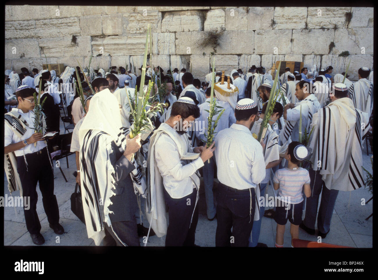 425. Pregando presso il Muro occidentale con le quattro specie durante la festa di Sukkot (Tabernacolo). Foto Stock